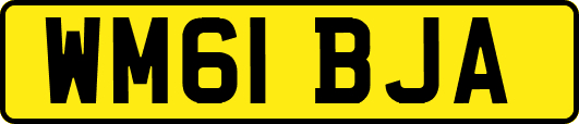 WM61BJA