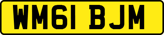 WM61BJM