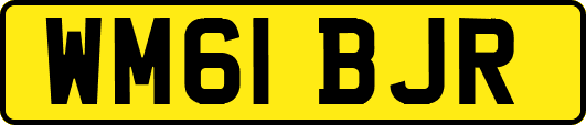 WM61BJR
