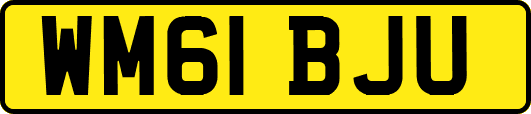 WM61BJU