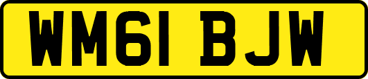 WM61BJW