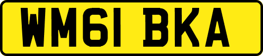 WM61BKA