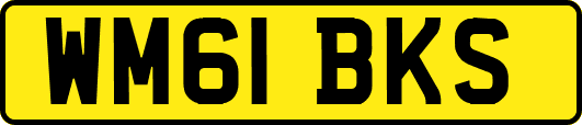 WM61BKS