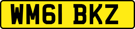 WM61BKZ