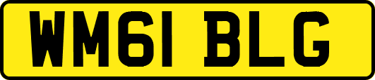 WM61BLG