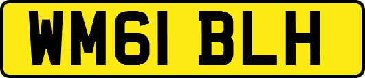 WM61BLH