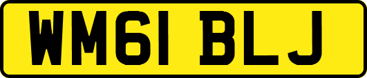 WM61BLJ