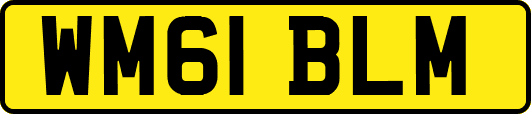 WM61BLM