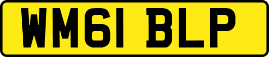 WM61BLP