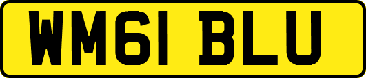 WM61BLU