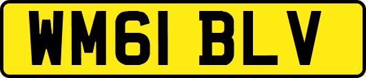 WM61BLV