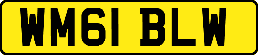 WM61BLW