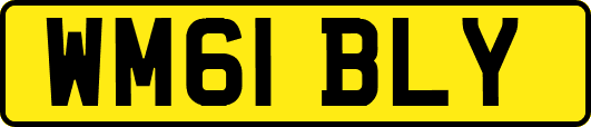 WM61BLY