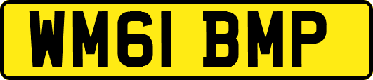 WM61BMP