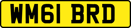 WM61BRD