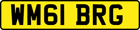WM61BRG
