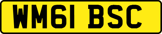 WM61BSC