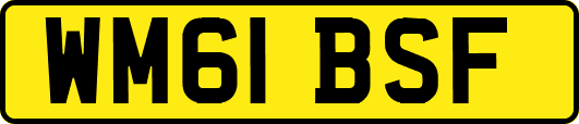 WM61BSF