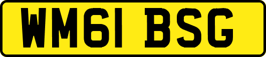 WM61BSG