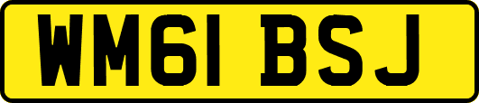 WM61BSJ