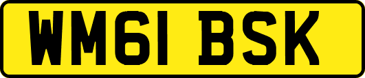 WM61BSK