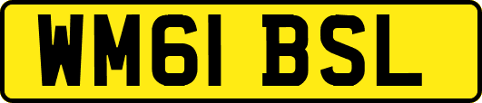 WM61BSL