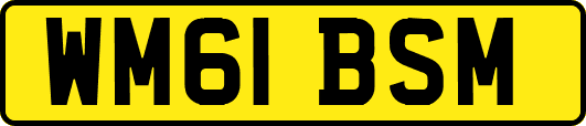 WM61BSM