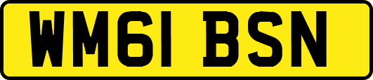 WM61BSN