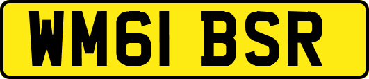 WM61BSR