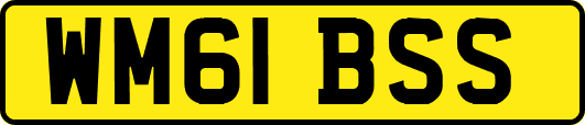 WM61BSS