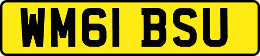 WM61BSU