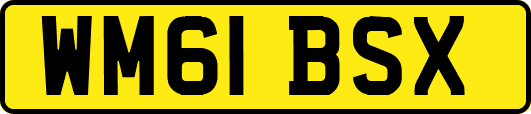WM61BSX