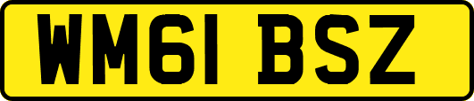 WM61BSZ