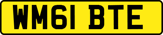 WM61BTE