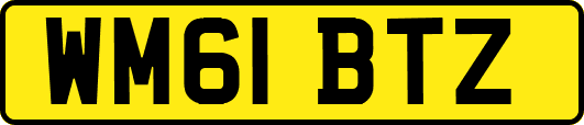 WM61BTZ