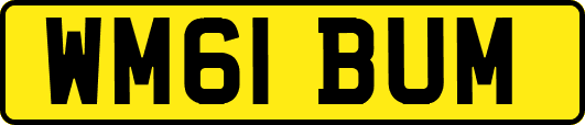 WM61BUM