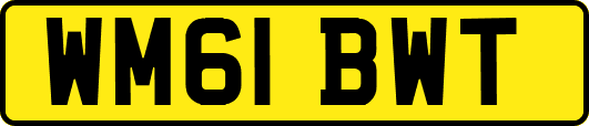 WM61BWT