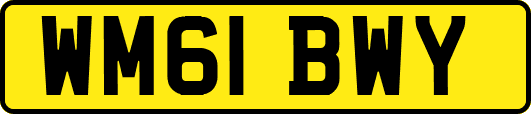 WM61BWY