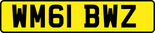 WM61BWZ