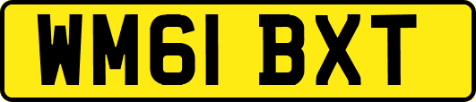 WM61BXT