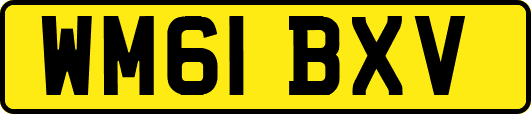 WM61BXV