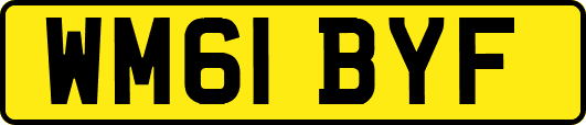 WM61BYF