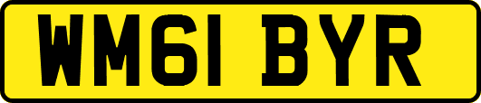 WM61BYR