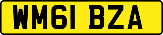 WM61BZA