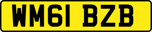 WM61BZB