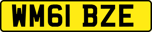 WM61BZE