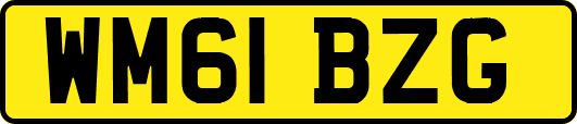 WM61BZG