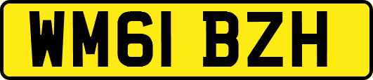WM61BZH