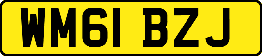 WM61BZJ