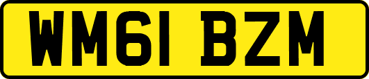 WM61BZM
